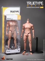 Artikelbild des Artikels “Advanced Muscular Body “