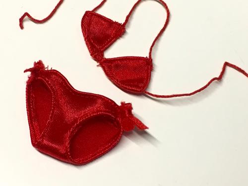 Artikelbild des Artikels “Tanga and Top Red “