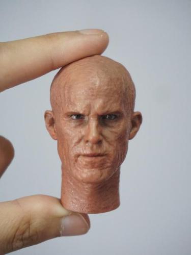 Product image of the product “1/6 Scale Head Sculpt for Deadpool ”