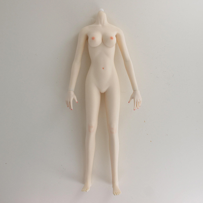 Artikelbild des Artikels “Female body Seamless Female Body (Middle Bust) 1:6 “