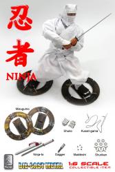 Artikelbild des Artikels “Ninja Weiss, Samurai,Japan “