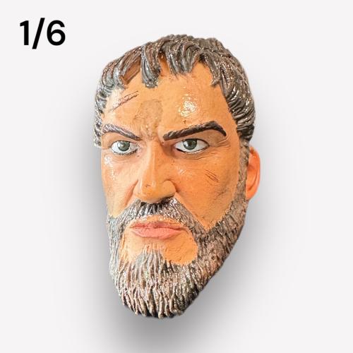 Artikelbild des Artikels “300 Guy 1/6 “