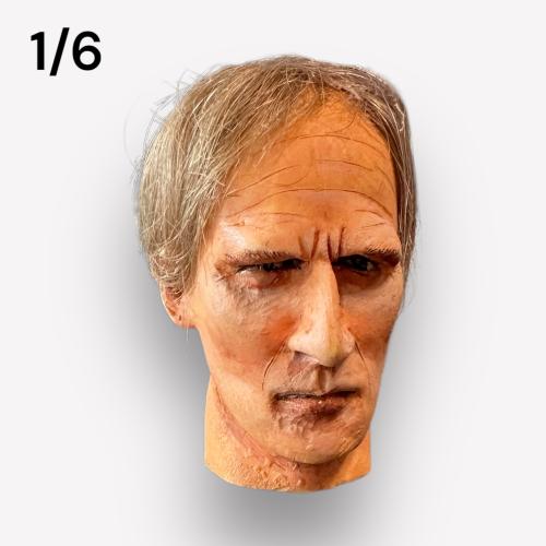 Product image of the product “Mayer Kopf 1/6 real Hair ”