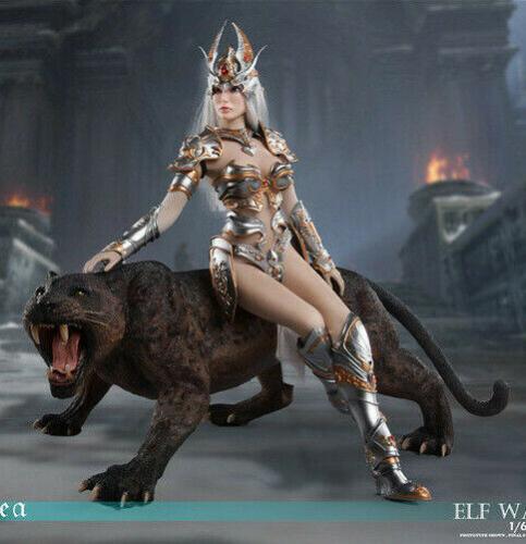 Product image of the product “Silver Elf Female Soldier Burryna Deluxe Edition ”
