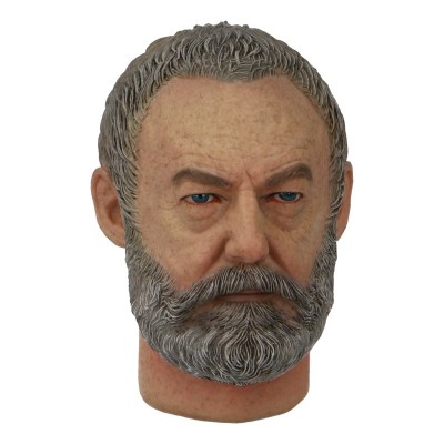 Product image of the product “Liam  like Headsculpt 1:6 ”