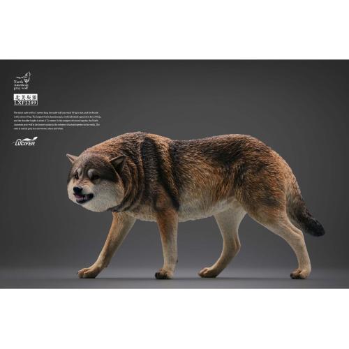 Artikelbild des Artikels “1/6 Brauner Wolf “