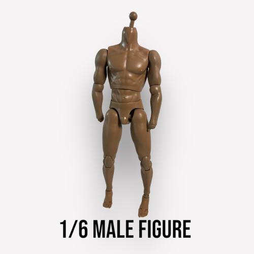 Product image of the product “Costum Muscular Body 180 Basic ”