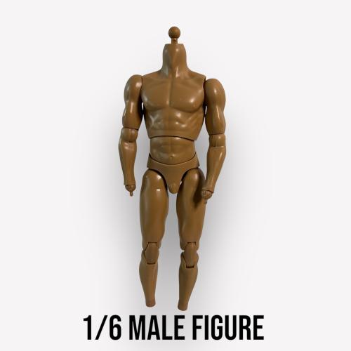 Product image of the product “Costum Muscular Body 195 Basic ”