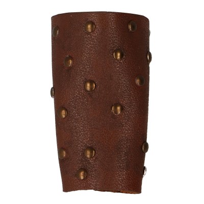 Artikelbild des Artikels “Forearm Protection (Brown) Stressed “