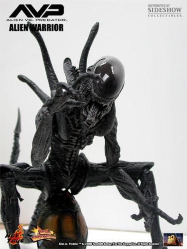 Artikelbild des Artikels “sixth scale Alien Warrier 1/6 “