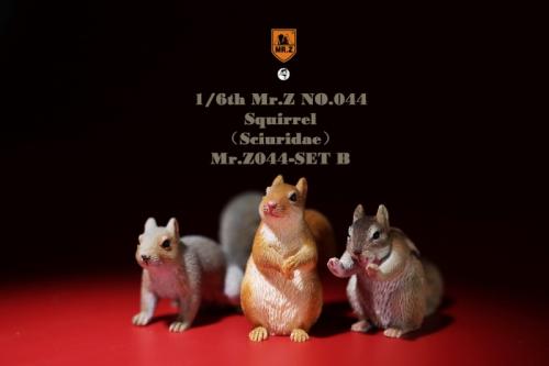Artikelbild des Artikels “Eichhörnchen  Set  1:6 “