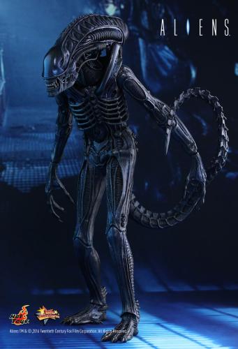 Product image of the product “Hot Toys, ALIEN WARRIOR ”