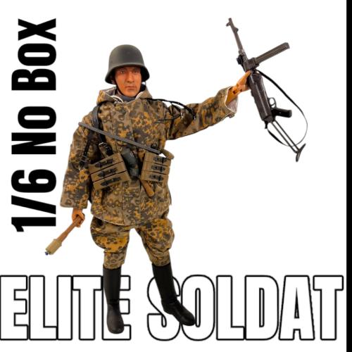 Artikelbild des Artikels “Zanis Danzig 1945 - 15. Waffen Grenadier Division 1/6 (Showroom) “