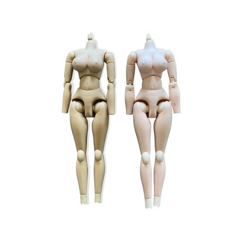 Artikelbild des Artikels “Female Bodie in 1/6 “