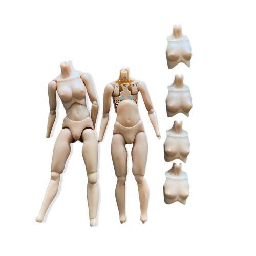 Artikelbild des Artikels “Evalution (EVA) Caucasian Body “