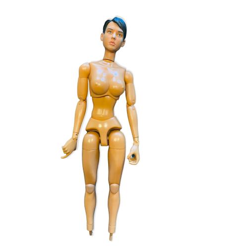 Product image of the product “Female Body 1/6 ”