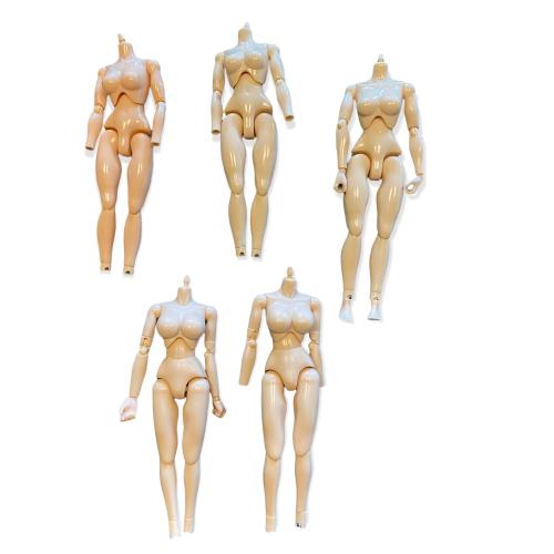 Artikelbild des Artikels “Female Body 1/6 Set (5) “
