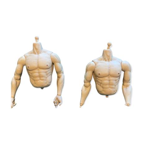 Artikelbild des Artikels “Male Half Bodies “