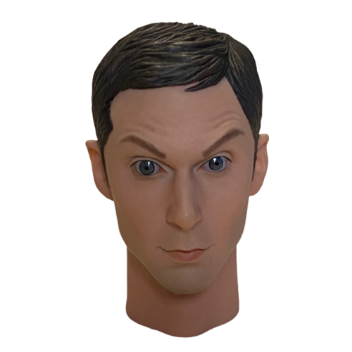 Artikelbild des Artikels “Male Head Sculpture with Expression 1:6 “