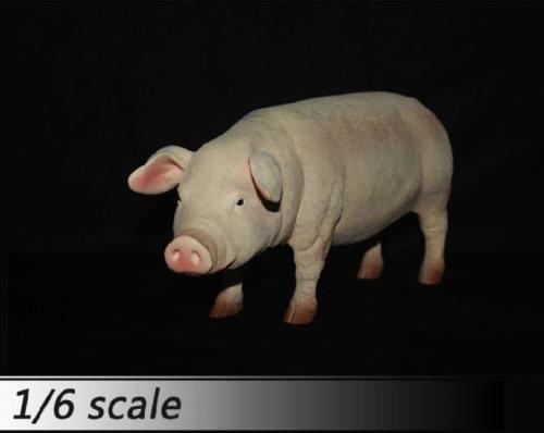 Artikelbild des Artikels “Schwein  (Pink) 1/6 “