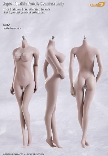 Artikelbild des Artikels “Phicen Body Pale - middle Breat Size “