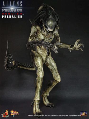 Artikelbild des Artikels “1:6 Hot Predalien “
