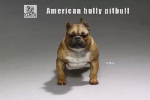 Artikelbild des Artikels “MR.Z American Bully Pitbull  A 1:6 “