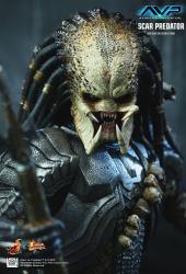 Product image of the product “1/6th scale Scar Predator ( Original with Shipper) ”