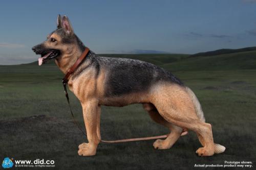 Artikelbild des Artikels “Deutscher Schäferhund 1:6 “
