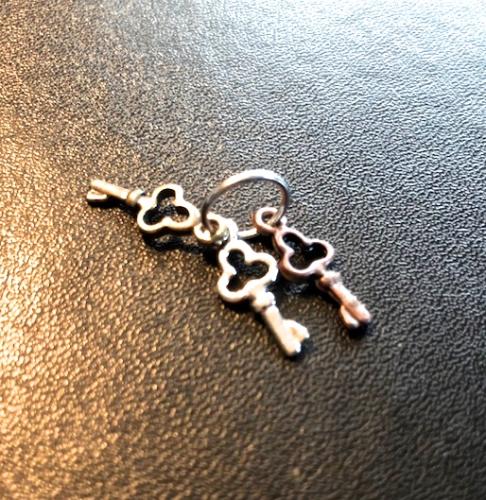 Artikelbild des Artikels “Schlüsselbund in Metal “