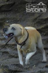 Artikelbild des Artikels “Labrador Retriever Dog 1:6 “