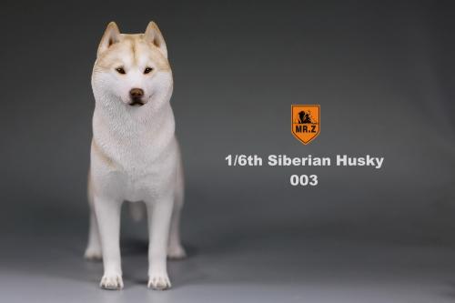 Artikelbild des Artikels “Siberian Husky Dog (Beige) “