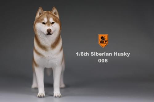Artikelbild des Artikels “Siberian Husky Dog (Brown) 1:6 “