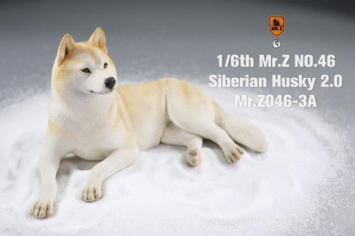 Product image of the product “Siberian Husky Dog 2.0 (Beige) 1/6 ”
