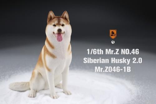 Artikelbild des Artikels “Siberian Husky Dog 2.0 (Beige) 1:6 “