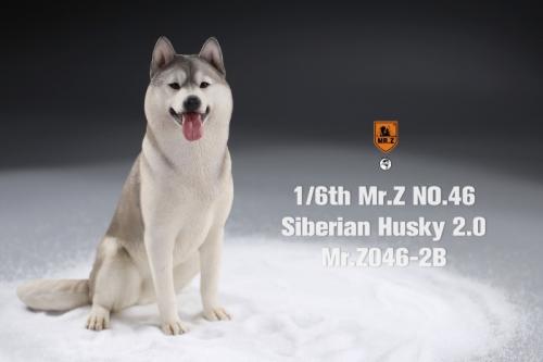Artikelbild des Artikels “Siberian Husky Dog 2.0 (Grey) 1:6 “