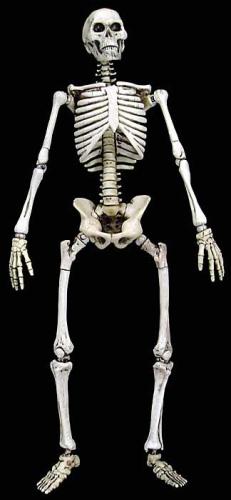 Product image of the product “1/6 Scale The Skeleton ”