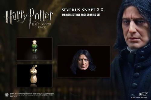Product image of the product “Accessories Set for Severus Snape Action Figure 1/6 ”