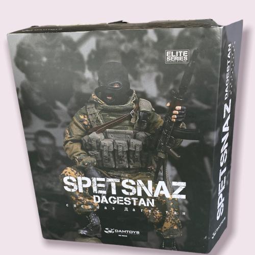 Product image of the product “DAMTOYS 1/6 SPETSNAZ IN DAGESTAN/ Read!!) ”