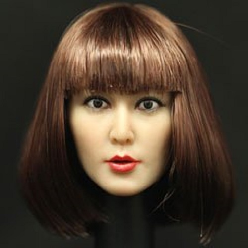 Artikelbild des Artikels “female Head (with implanted hair) “