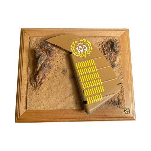 Artikelbild des Artikels “Diorama  Star Of Afrika mit Seitenruder 1/6 “