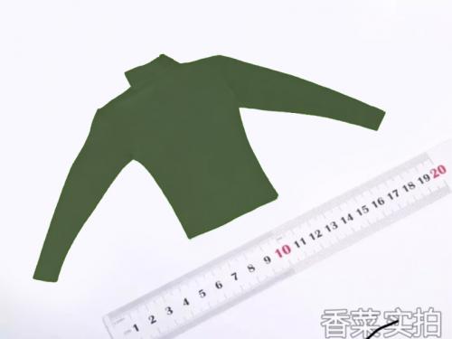 Artikelbild des Artikels “T-shirt (Olive Drab) 1:6 “