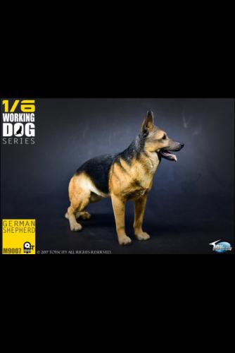 Artikelbild des Artikels “Dog,Schäfer, Hund, German “