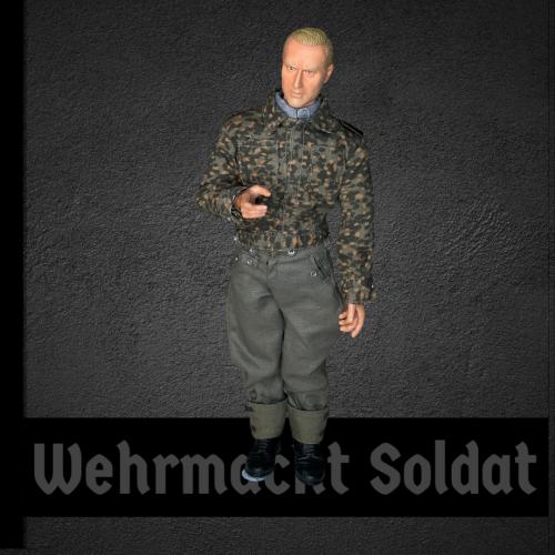 Product image of the product “Wehrmacht  Soldat  1/6 (No Box) ”