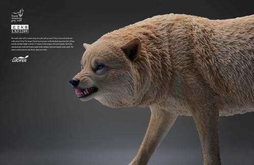 Artikelbild des Artikels “1/6 weisser Wolf “