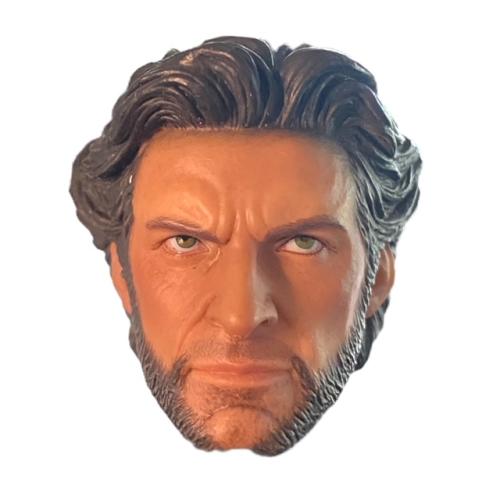 Product image of the product “Wolverine 1/6 ”