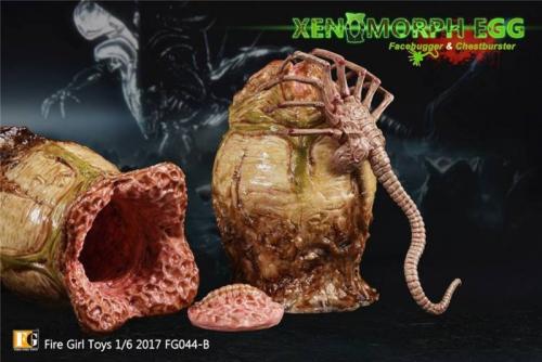 Artikelbild des Artikels “Xenomorph Egg with Facehugger Larva 1:6 “