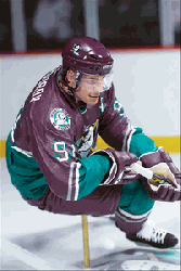 Product image of the product “Sergei Fedorov ”