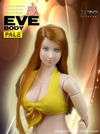 Artikelbild des Artikels “ZC Female Head 1/6 “