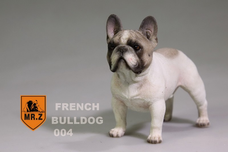  Artikelbild 1 des Artikels “MR.Z French Bulldog 04 1:6 “